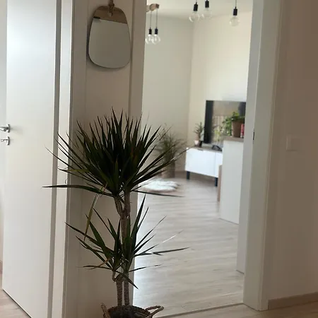 Apartment New Luxury In The Center With Optional Parking *